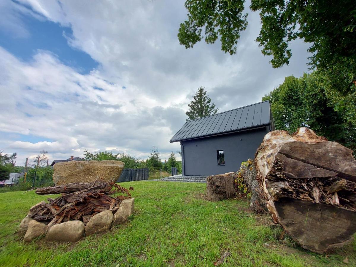 Bryziowka B Holiday home *